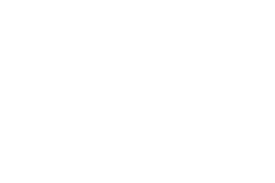 ROYAL JET